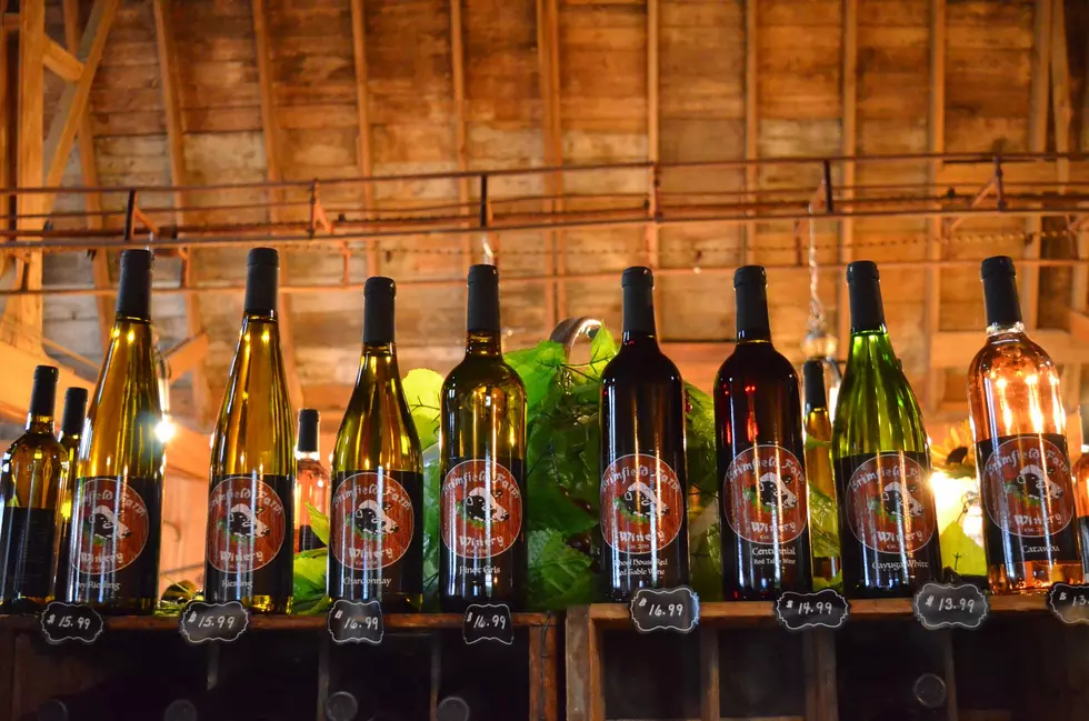 Clinton New York's Brimfield Farm Winery Opening For New Season