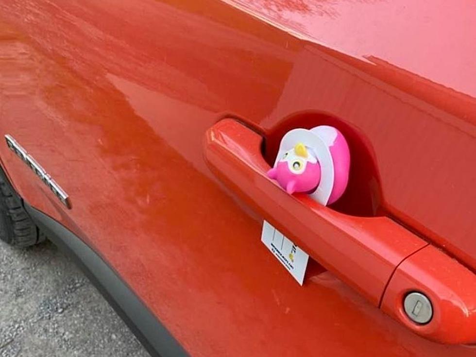 Central New York Woman Has A Laugh As She Finds Her Jeep “Ducked” in New Hartford