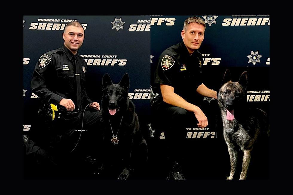 Onondaga County Sheriffs Add Two New K9's To Force