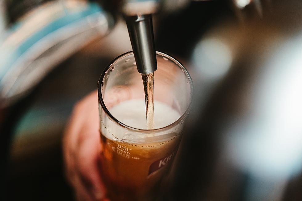 Cheers to Beers! Utica Zoo’s Brewfest is Returning This Summer