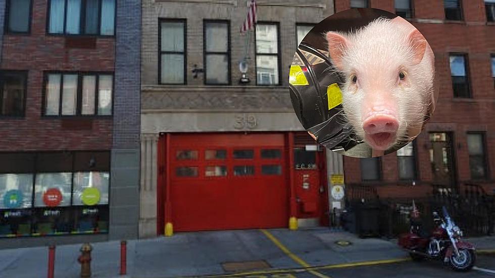 You Won't Believe What This NY Fire Department Has As A Mascot