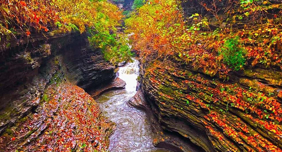 9 Photos That Show How Stunning Fall Is In Watkins Glen