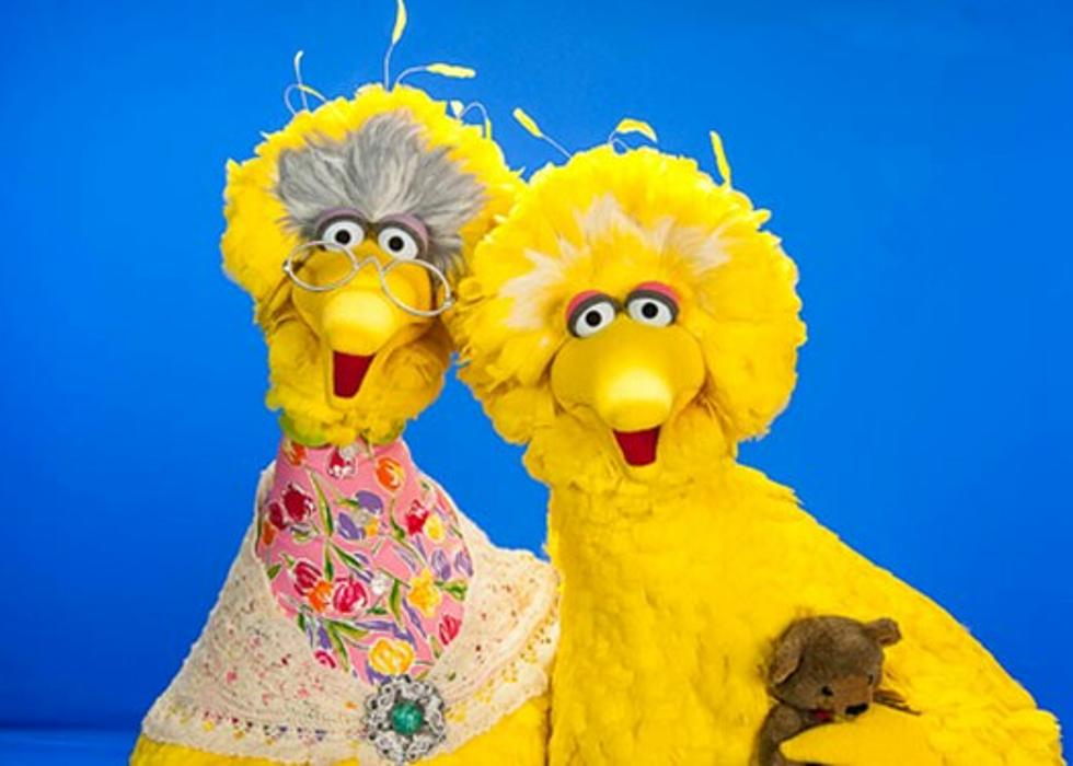 An Open Letter To Big Bird: It’s Okay Buddy, I Won’t Judge You For Being Vaccinated