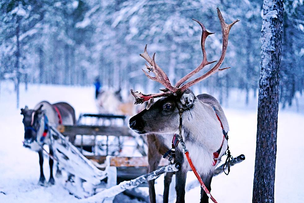 'Christmas On Main Street' In Old Forge Is Back