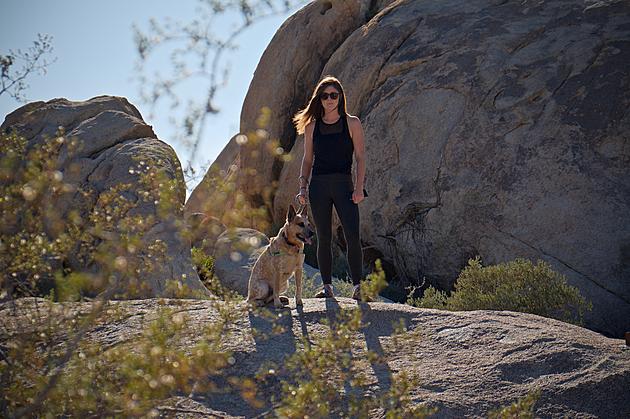 Can You and Your Pup Complete The ADK-9 Challenge?