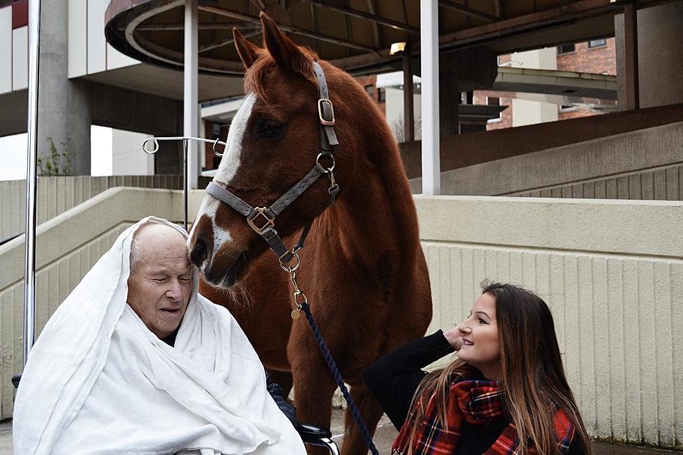 Syracuse Woman Grants Her Grandfather’s Final Wish, Seeing Her Horse One Last Time