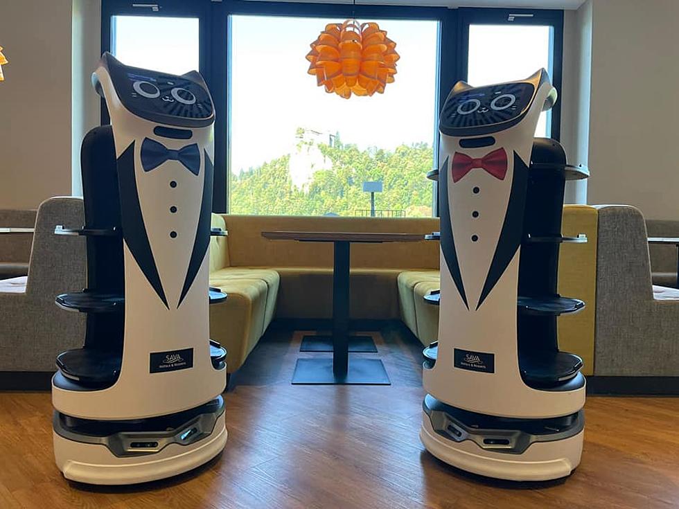 Upstate New York Restaurant Hires Robots Amidst Labor Shortage