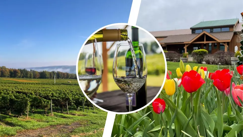 Cheers: Here’s Your Chance To Own A Winery in the Finger Lakes, New York