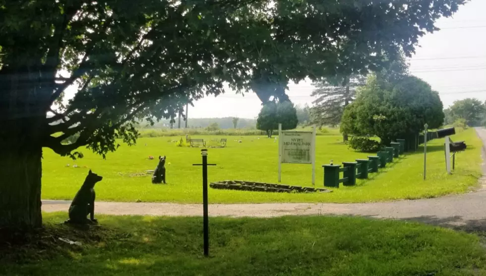 Pet Cemetery In Upstate NY