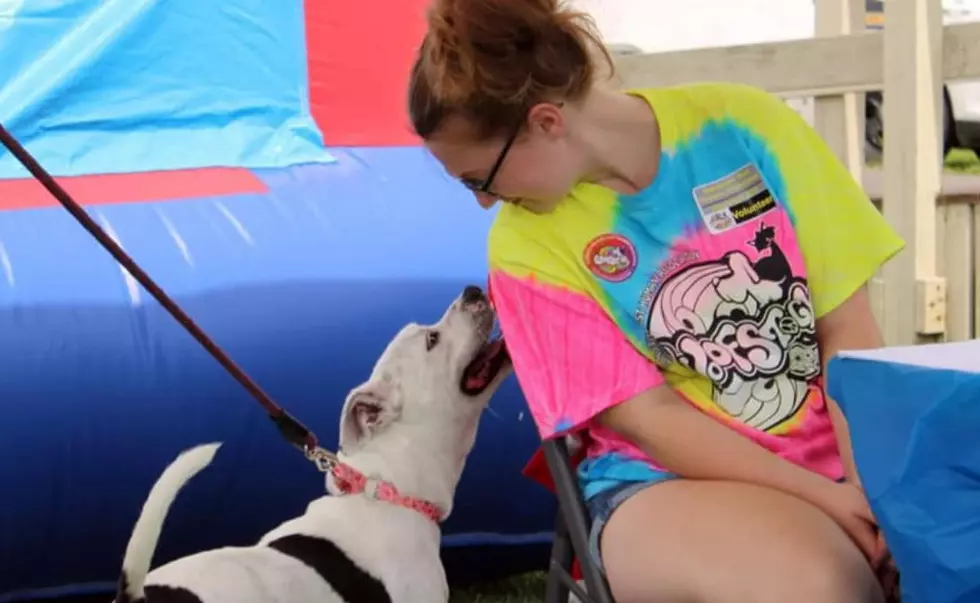 Woofstock 2022 Brings Peace, Love, And Pups Together In Central New York