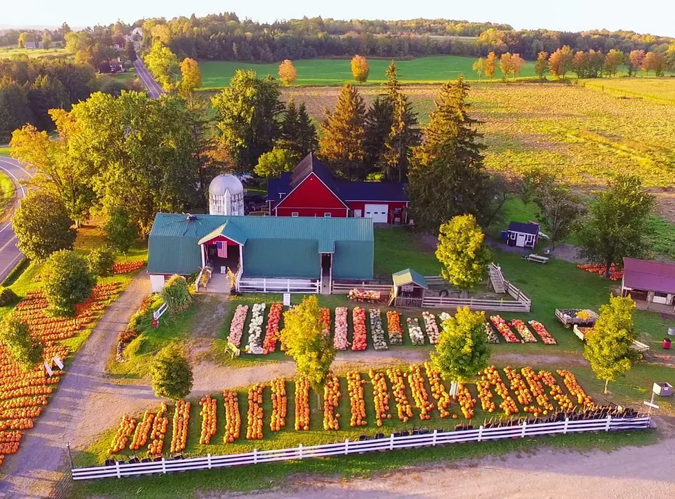 Fall Fun Begins Soon As This Central New York Pumpkin Farm Announces Opening Day