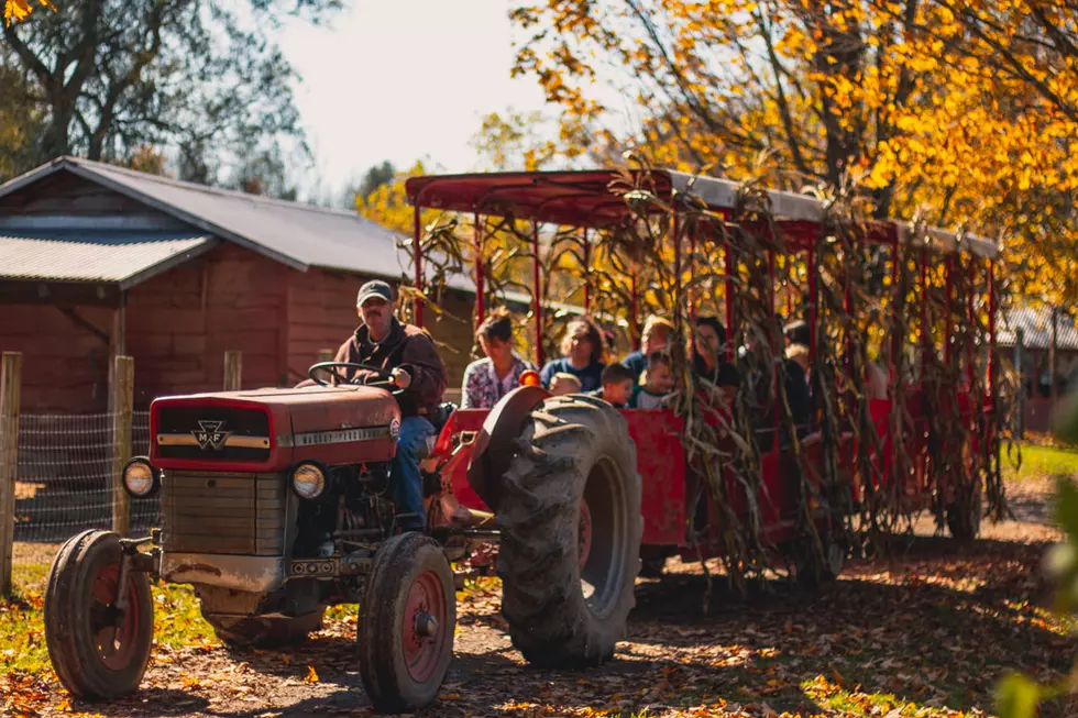 Celebrate End of Summer At Fort Rickey In Rome