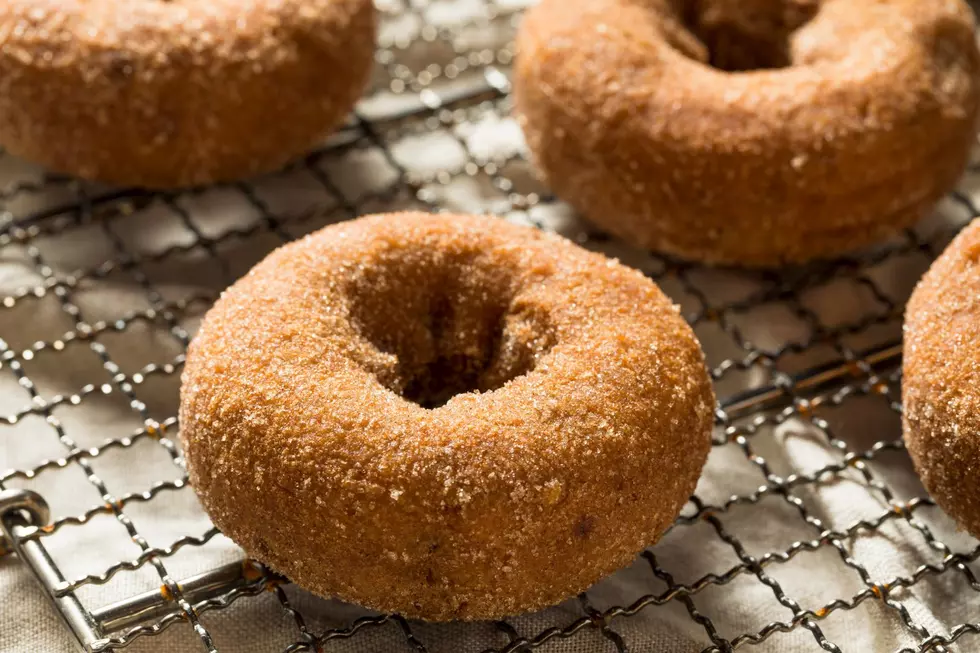 Six Spots in Central NY Serving Up The Best Apple Cider Donuts