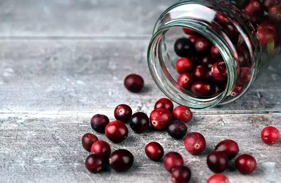 Where To Buy Fresh Local Cranberries In Upstate New York