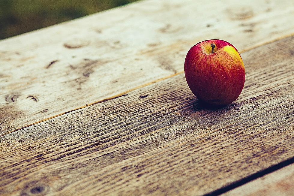 World's Largest Delicious Mcintosh Apple Orchard Is Here