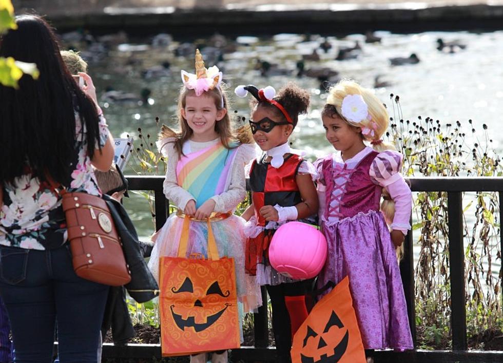 Annual Zoo Boo Halloween Celebration Returning To Syracuse This Weekend