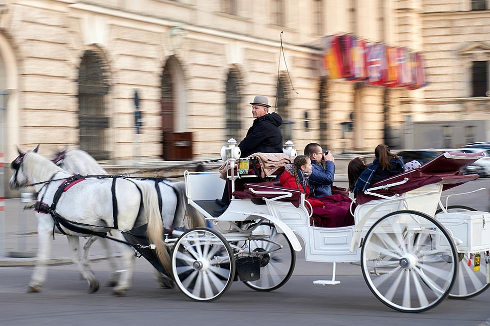 This Christmas- Enjoy Horse Drawn Carriage In Syracuse