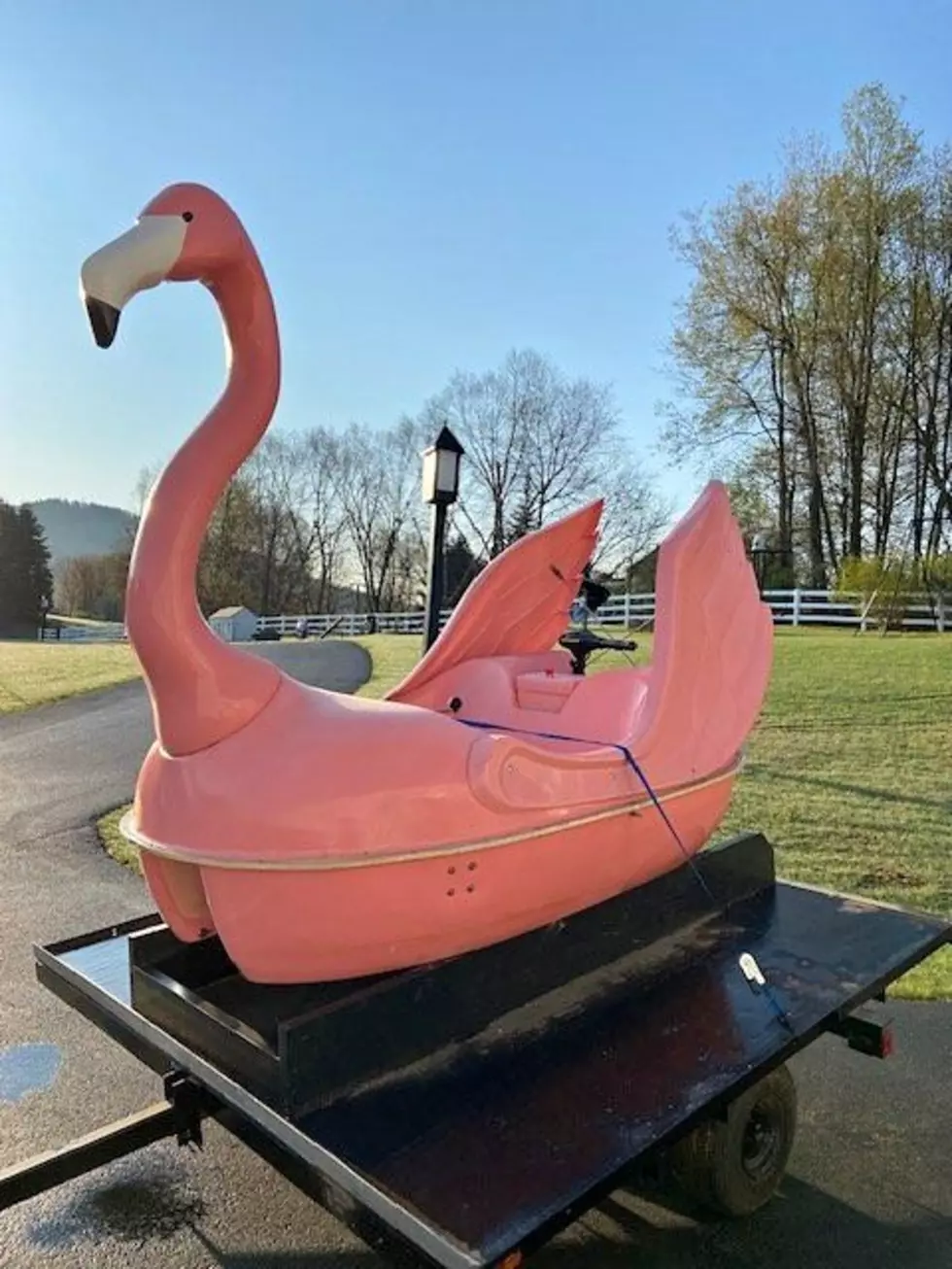 1 Super Rare Pink Boat For Sale In New York