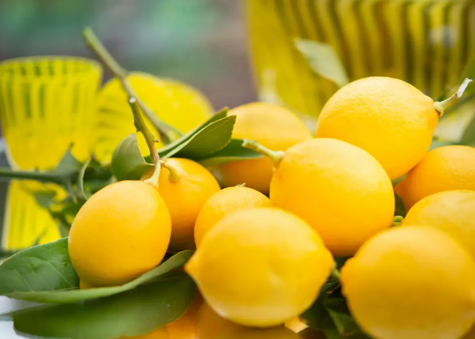 Is Lemonade A Juice?- Central New York Debates Summer Drink
