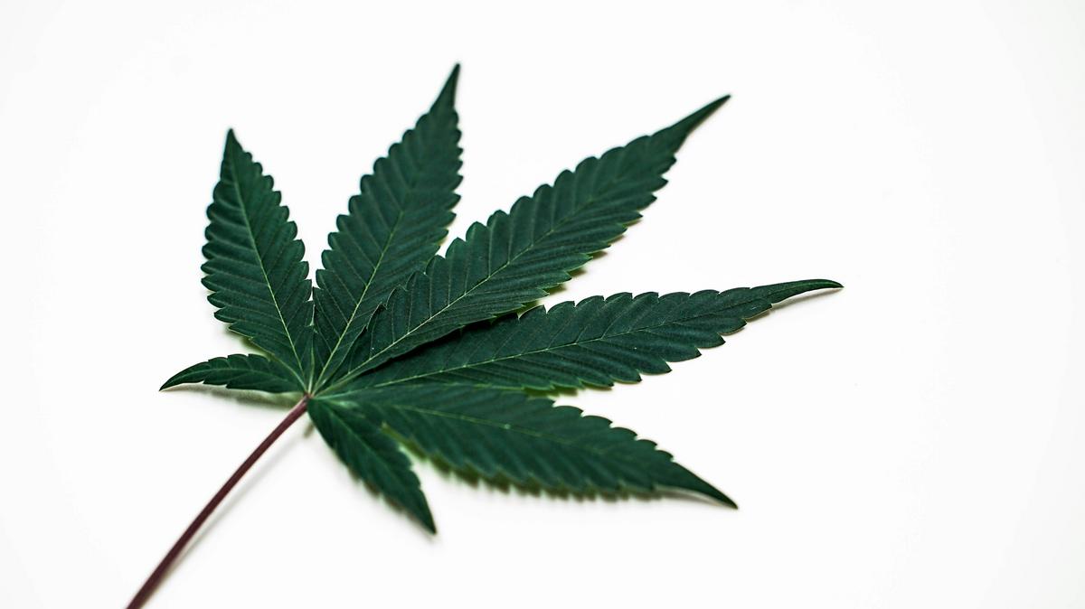 Cannabis Recall Issued in New York Over Contamination