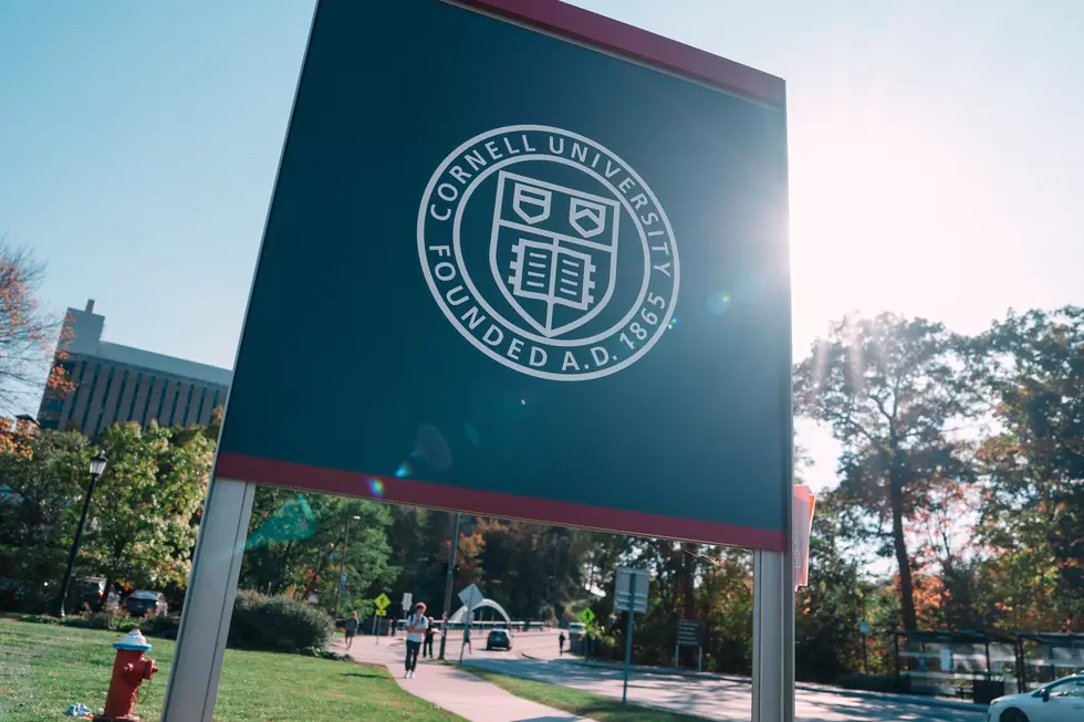 Ithaca Puts Cornell University Parties on Pause