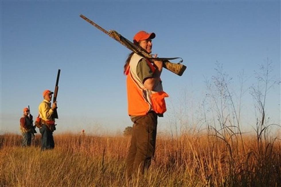 DEC Pheasant Release Program Accepting Applications