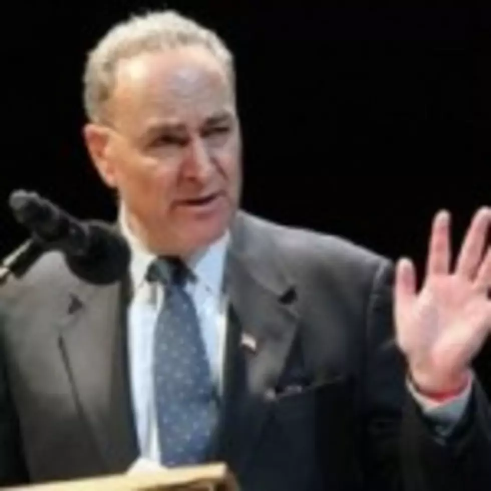 Schumer Demands Airlines Return Fees For Late Luggage