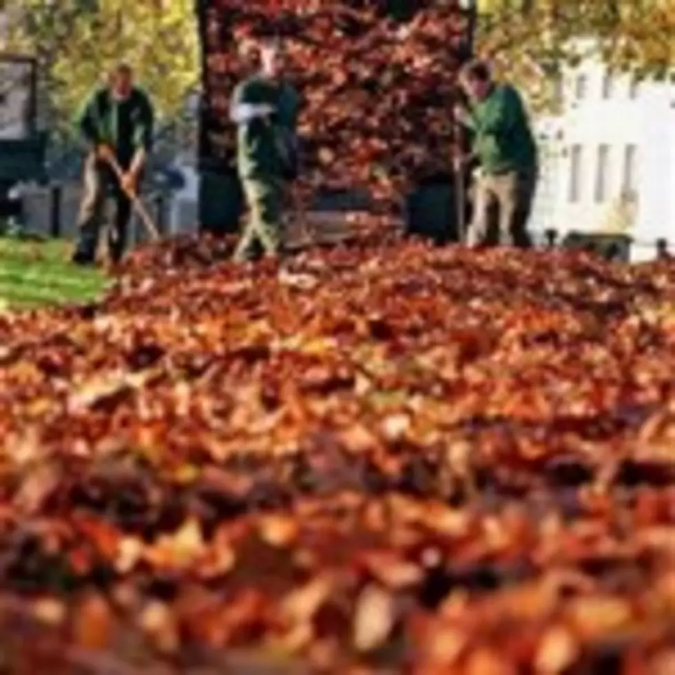 Intergenerational Fall Clean Up This Weekend