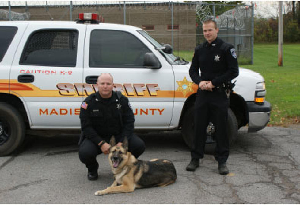 Madison County Sheriff Expands K9 Services