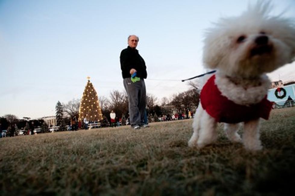 Get Your Pet’s Pic With Santa This Weekend