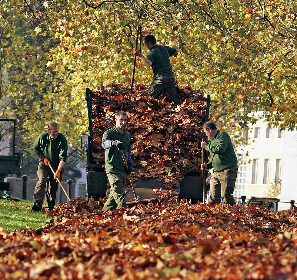 Utica Releases Leaf Collection Schedule