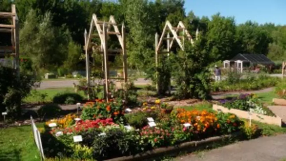 Oriskany&#8217;s Scripture Botanical Gardens Earn National Honors