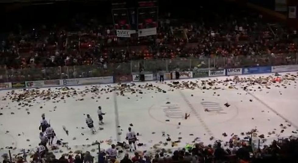 Teddy Bear Toss at Utica AUD on December 1 during Utica College – Buffalo State Hockey Match