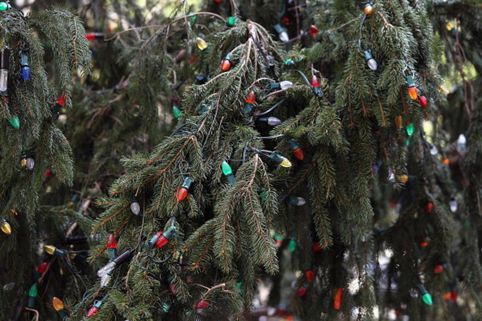 Utica Christmas Tree Pickup