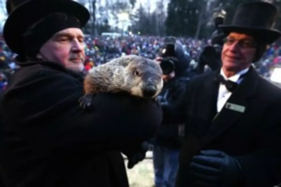 This Groundhog Day Punxsutawney Phil Predicts An Early Spring