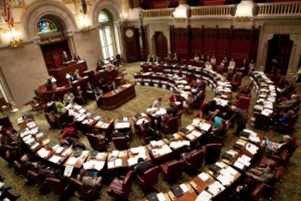 Griffo: NY Safe Act Repeal By Legislators Not Likely