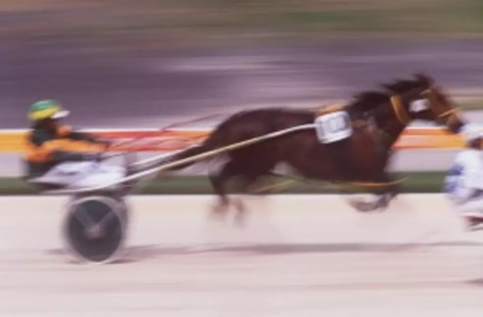 Vernon Downs Open For Racing Despite Equine Herpes Issues &#8211; Some Horses Quarantined