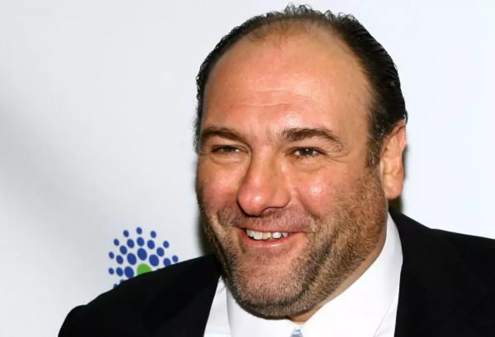 Actor James Gandolfini, The Actor Who Played Tony Soprano On HBO&#8217;s &#8220;The Sopranos,&#8221; Is Dead