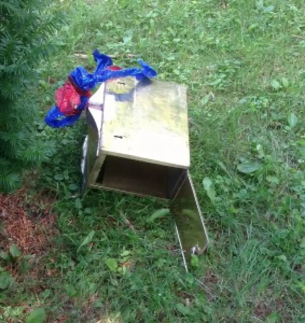 This is the locked card box as it was found by neighbors on Sunday morning. Police are searching the box for finger prints. (Photo taken by Benjamin Keeler)