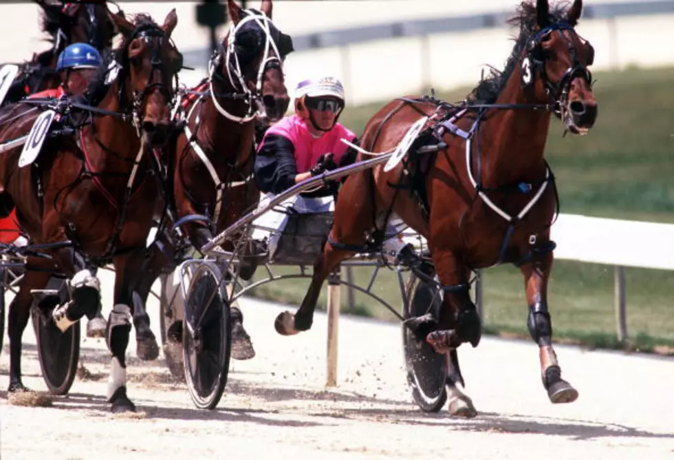 Vernon Downs, Horsemen Team Up For Food Bank Fundraiser