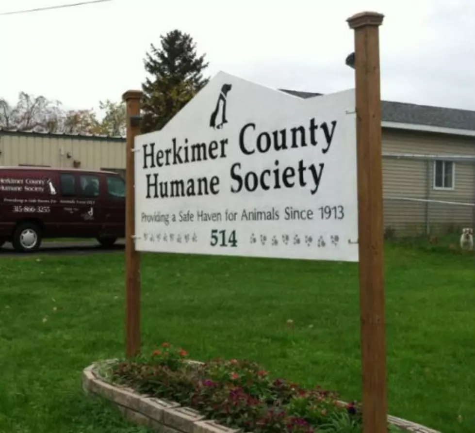 Arrest in Herkimer Dog Case