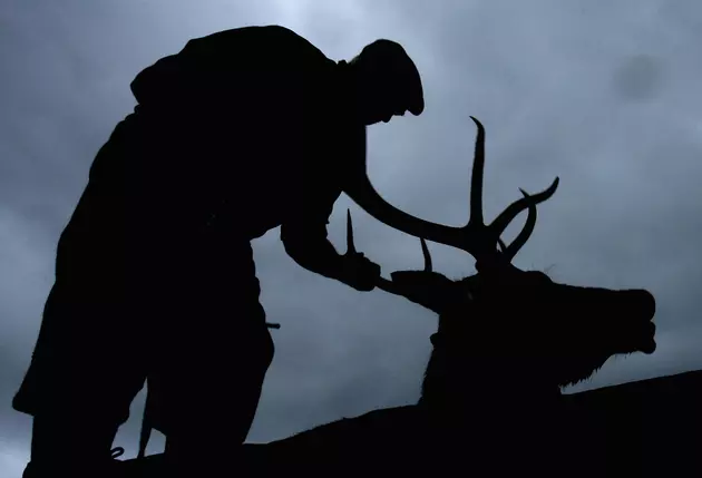 Hunters Being Asked To Help Biologists With Deer Hunt