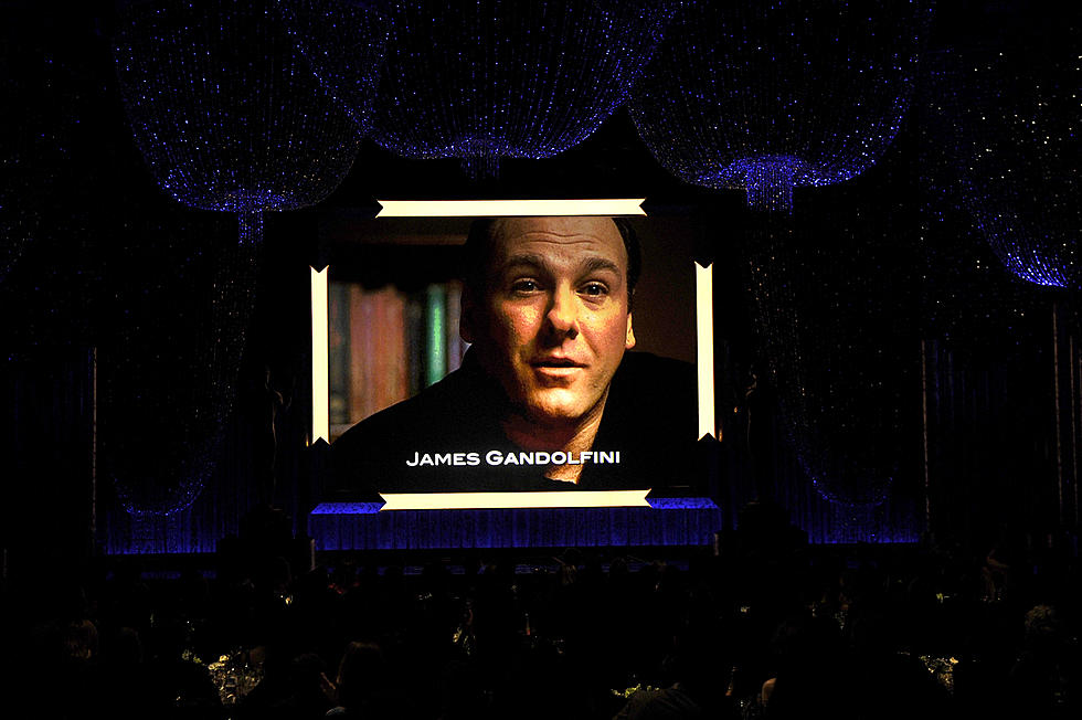 James Gandolfini Heading Into NJ Hall Of Fame