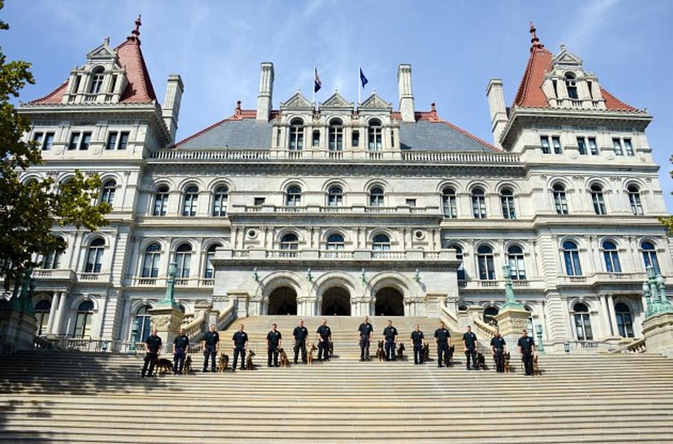 [VIDEO] Canines And Handlers Graduate From State Police K-9 Academy