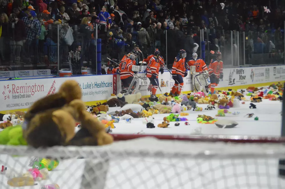 2016 NY Sash Utica College Teddy Bear Toss Date Announced