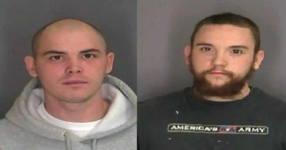 Two Men Charged with Stealing Goats from Canajoharie Farm