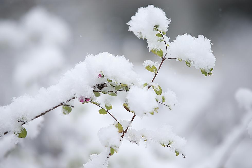 Snowstorm Hitting Utica, Oneida County