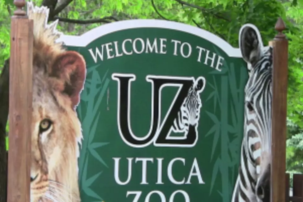 Utica Zoo Receives Education Grant For Comparative Psychology Program