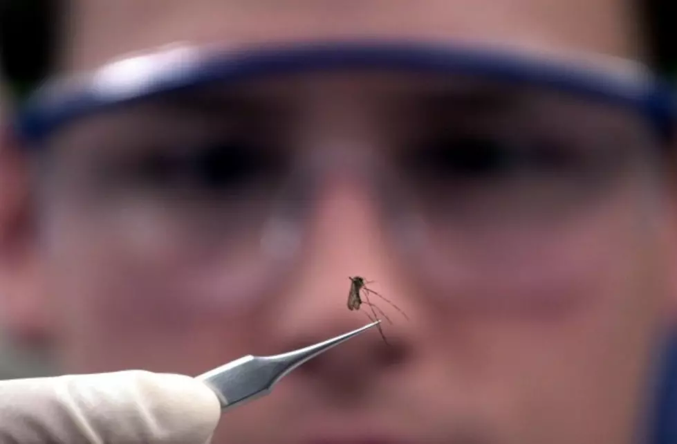 Insect Sized Drones &#8211; They&#8217;re Coming, Expert Says