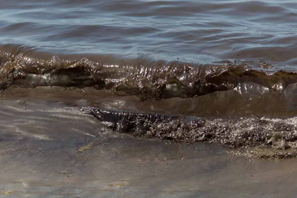 Boaters Mapping Pacific Garbage to Arrive in San Francisco